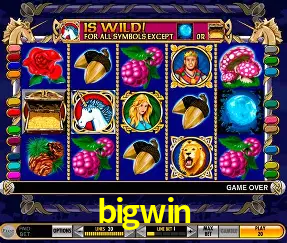 VIP Casino bigwin