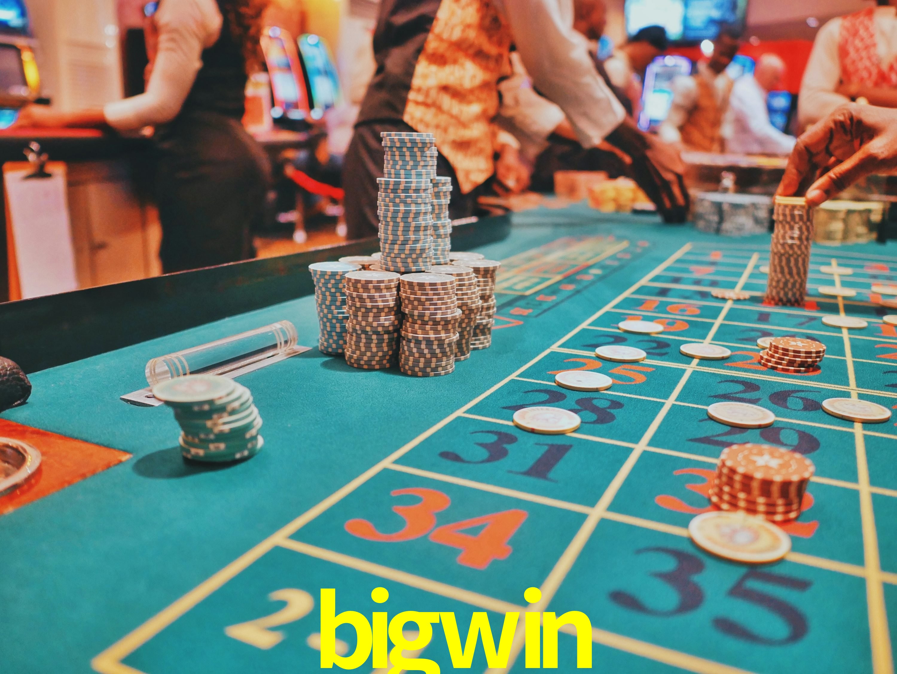 Sports Statistics bigwin